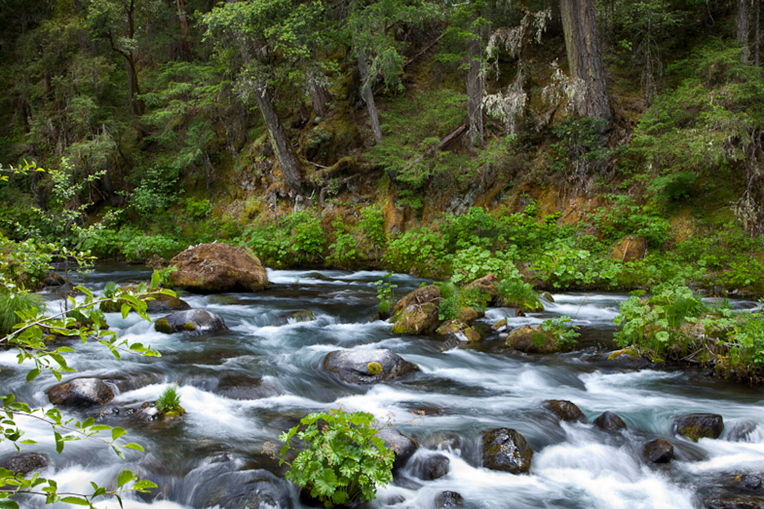 McCloud River Conservation EcoCart
